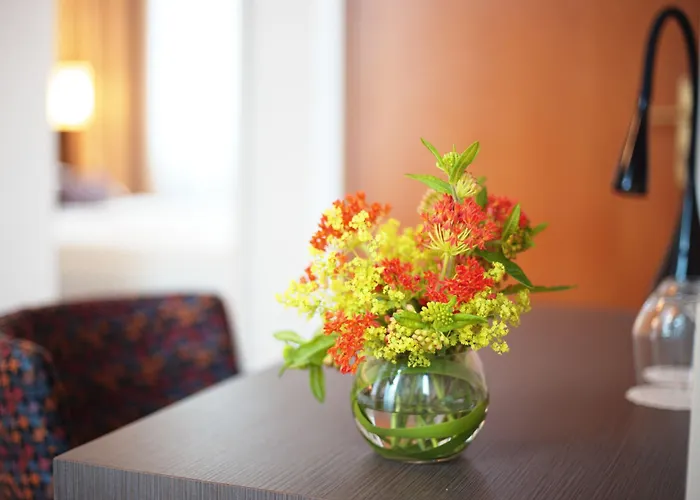 فندق دري كرونين سيتي فيينا